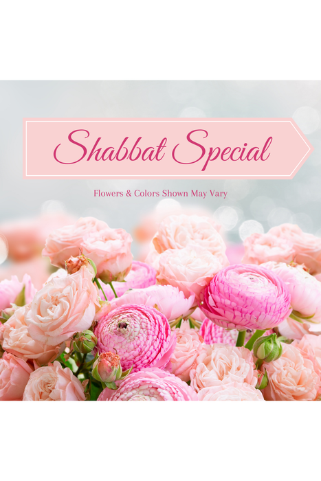 Shabbat Special
