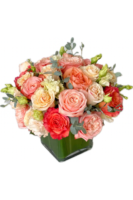Rose Harmony