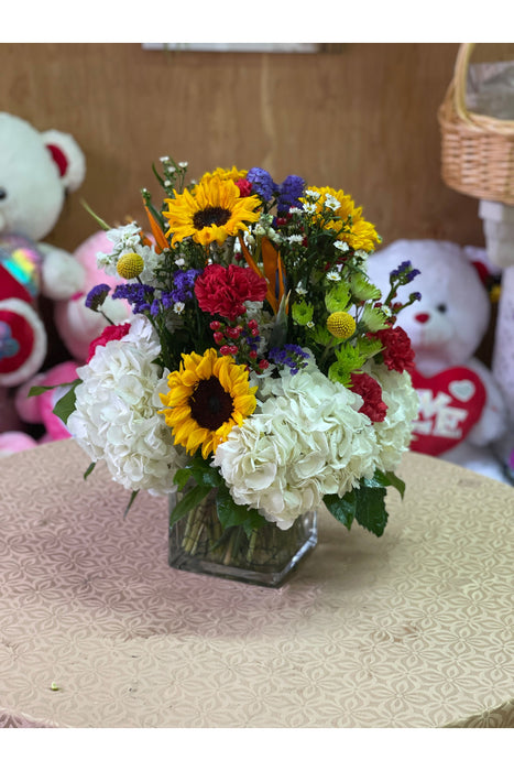 Square Spectrum Burst