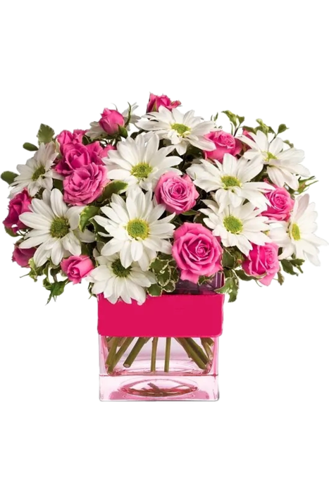 Blushing Elegance bouquet with pink roses and white daisies in a pink vase same-day delivery Hackensack NJ.