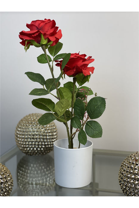 Double Silk Rose