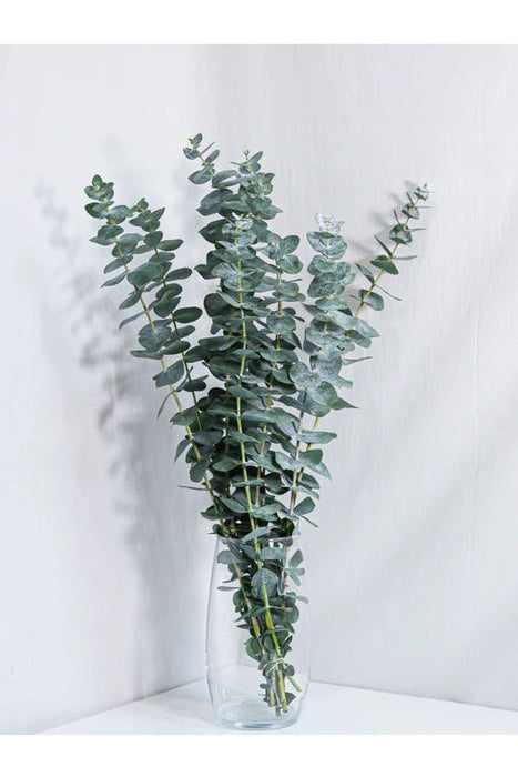 Eucalyptus floral Subscription