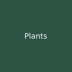 Plants