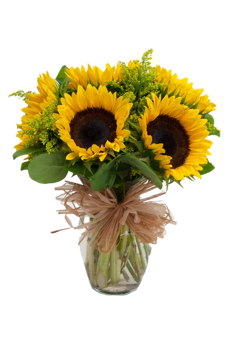 SunFlower Love