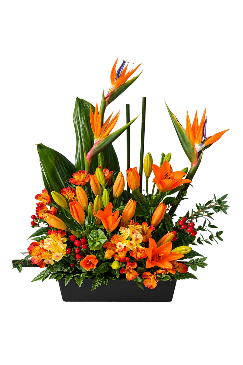 Tropical Serenity Funeral Arrangement