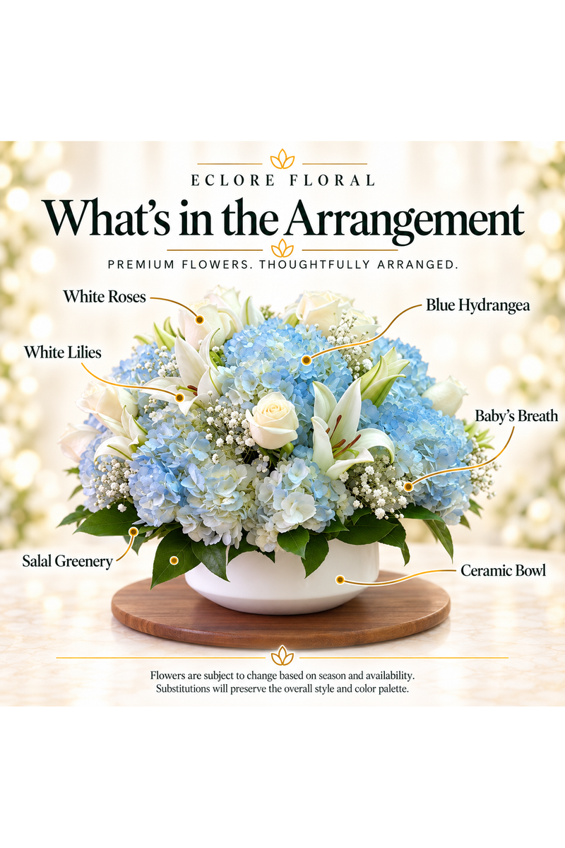 What's in the Arrangement guide for Blue Sea
