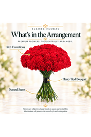 What's in the Arrangement guide for Red Bouquet arrangement Carnations ONLY