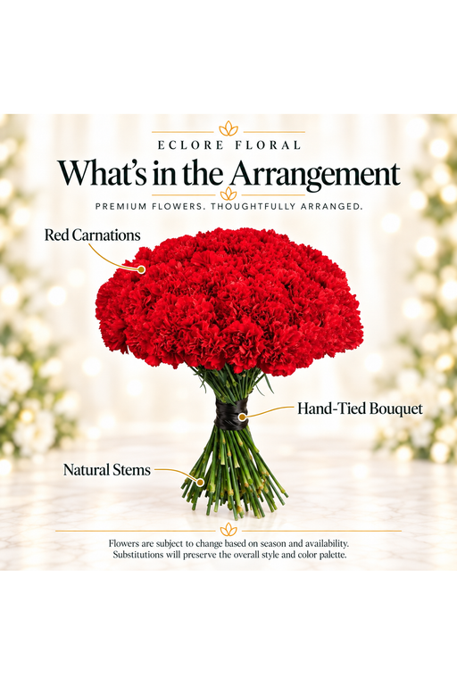 What's in the Arrangement guide for Red Carnation Bouquet