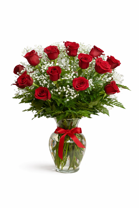 Elegant 12-Rose Vase Arrangement – Classic Red Roses with Baby’s Breath