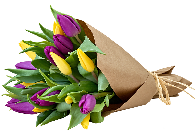 Sunny tulips