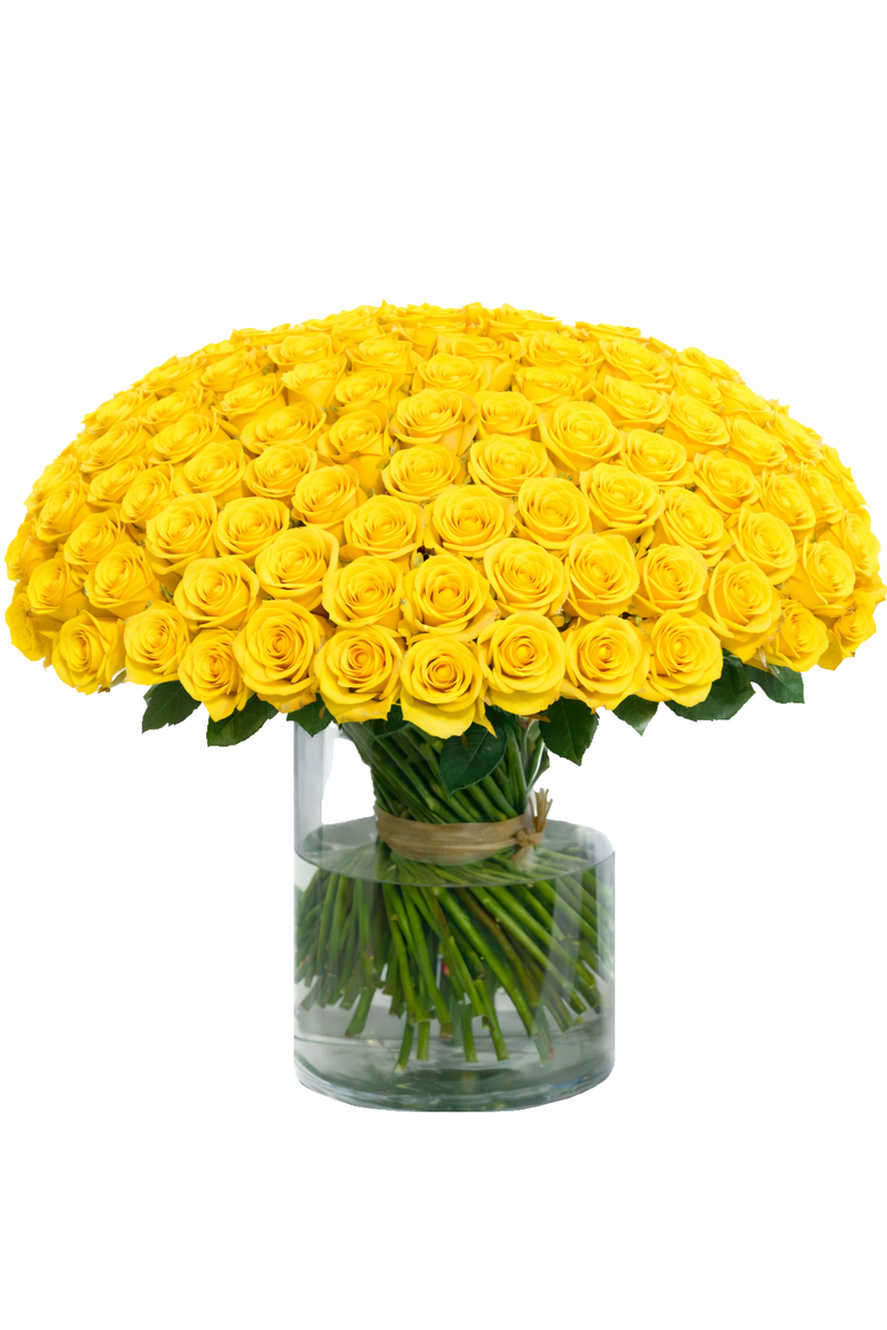 100 Premium Roses Arrangement