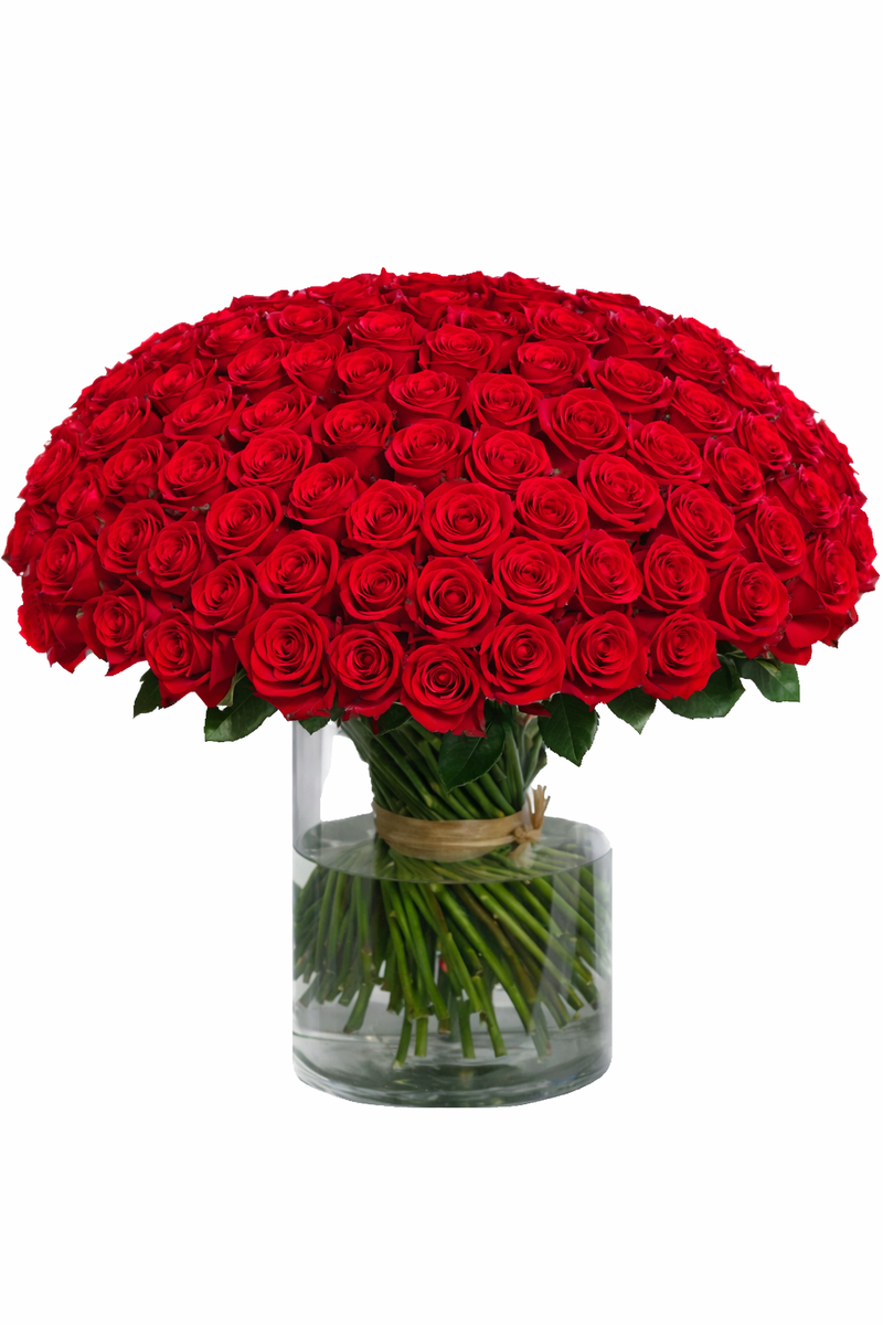 100 Premium Roses Arrangement