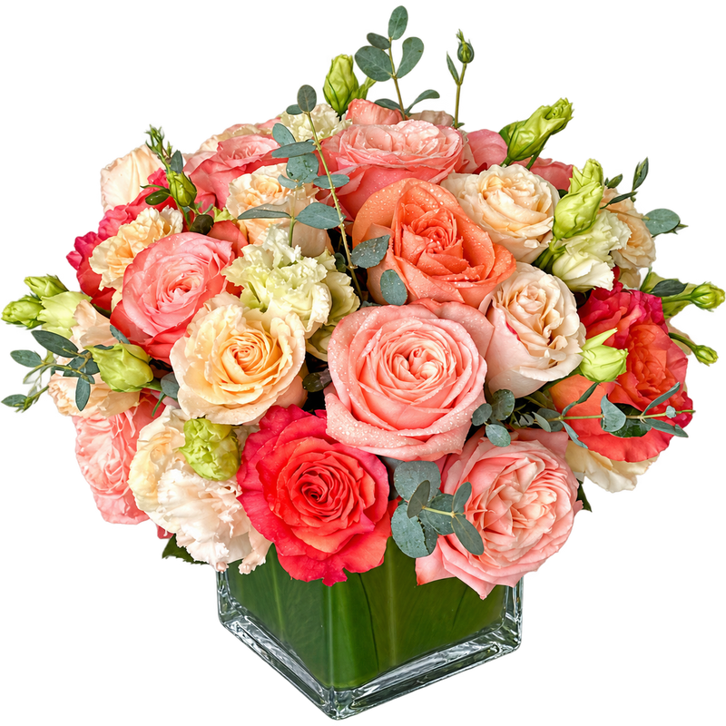 Rose Harmony