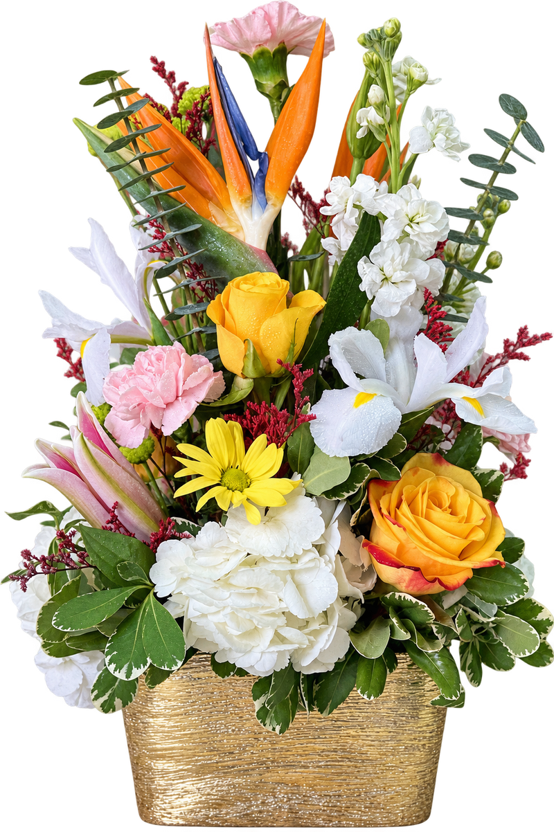 Birds Eye – Tropical Mixed Flower Arrangement
