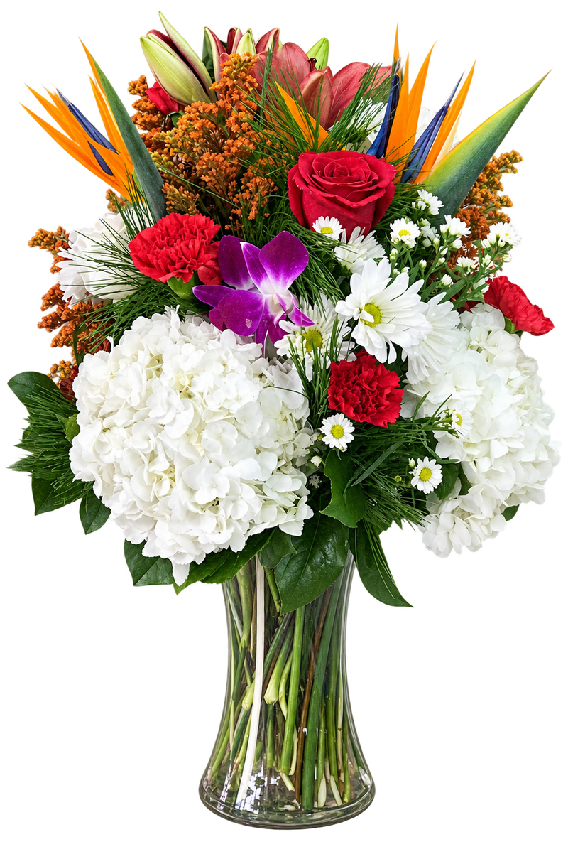 June Bug Floral Vase Arrangement – Hydrangeas, Roses & Birds of Paradise