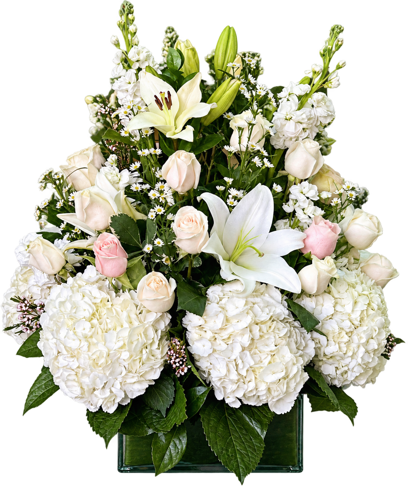 White Herbs Sympathy Arrangement – White Hydrangeas, Lilies & Roses