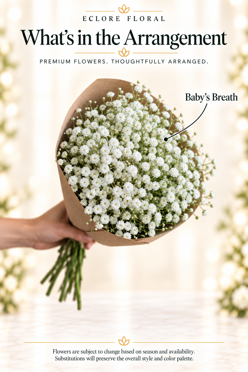Eclore Floral — What's in the Arrangement: Baby's Breath bouquet. Flower identification guide with seasonal availability disclaimer.