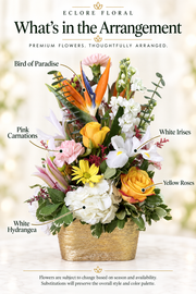 Birds Eye – Tropical Mixed Flower Arrangement — Eclore Floral flower guide with seasonal availability disclosure