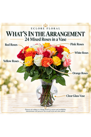 24 Mixed Roses in a Vase — What’s in the Arrangement flower guide
