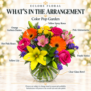 Color Pop Garden — What’s in the Arrangement flower guide