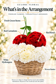 Cherry Love Luxury Red & White Hydrangea Basket — What’s in the Arrangement flower guide