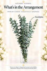 Eclore Floral — What's in the Arrangement: Eucalyptus bunch. Greenery identification guide with seasonal availability disclaimer.