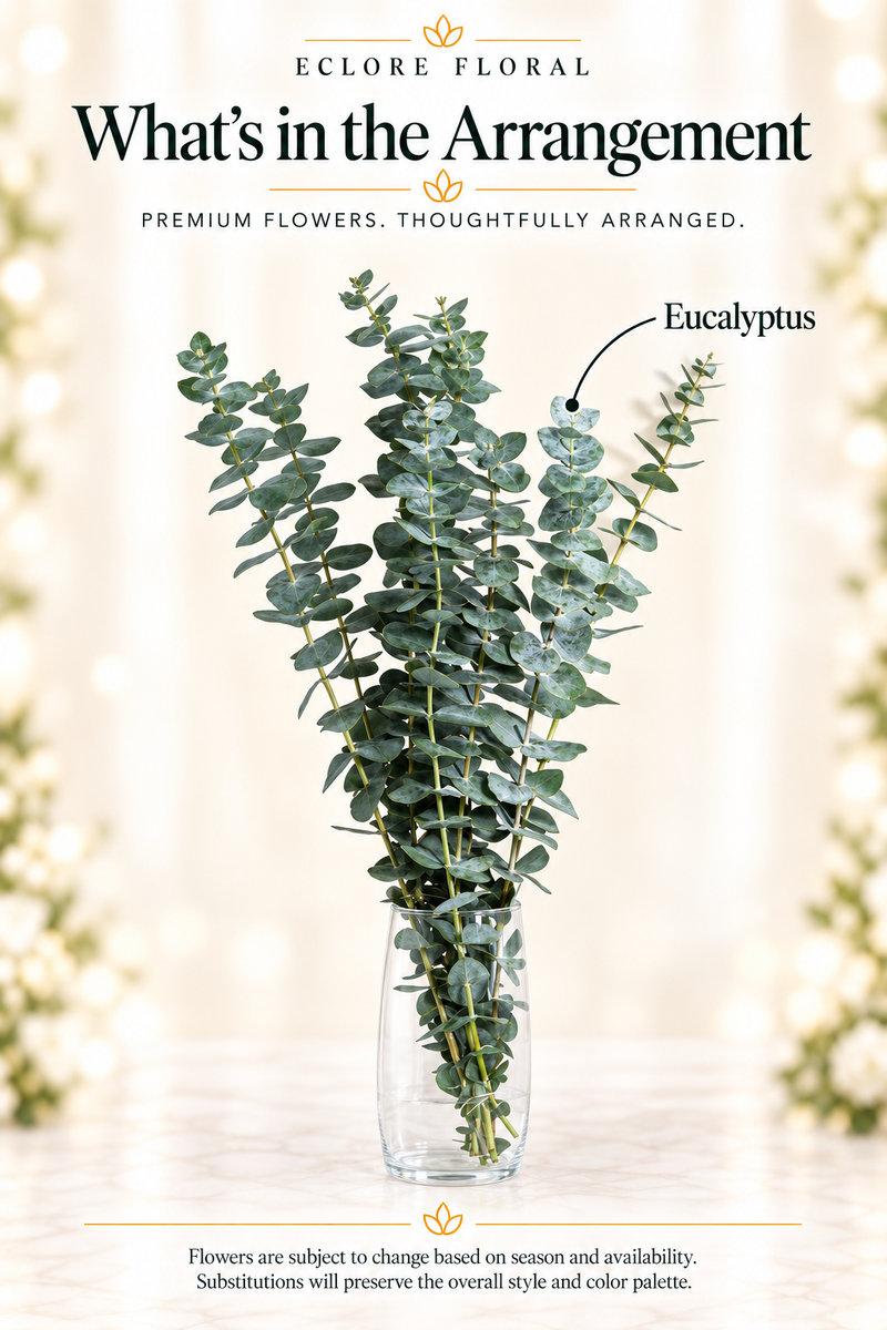 Eclore Floral — What's in the Arrangement: Eucalyptus bunch. Greenery identification guide with seasonal availability disclaimer.