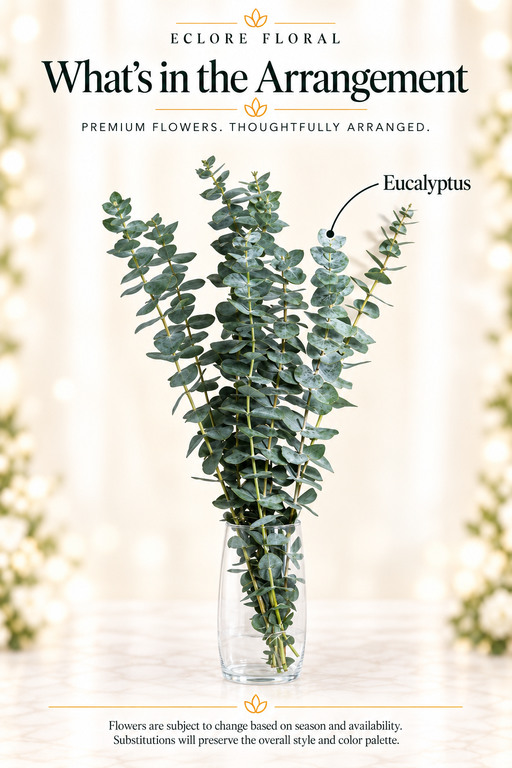 Eclore Floral — What's in the Arrangement: Eucalyptus bunch. Greenery identification guide with seasonal availability disclaimer.