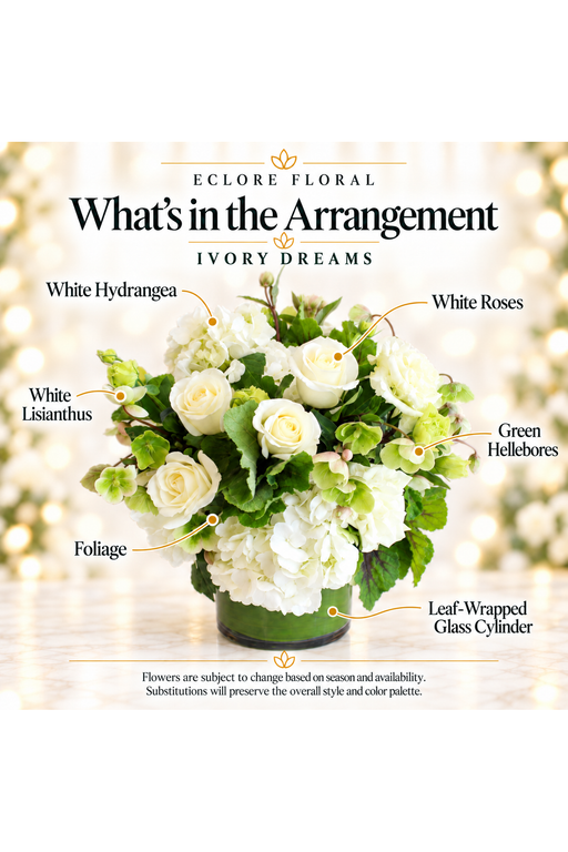 Ivory Dreams flower guide