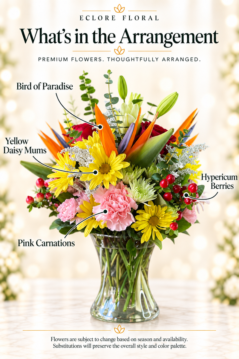 Eclore Floral — What's in the Arrangement: Lola Collection. Flower identification guide with seasonal availability disclaimer.
