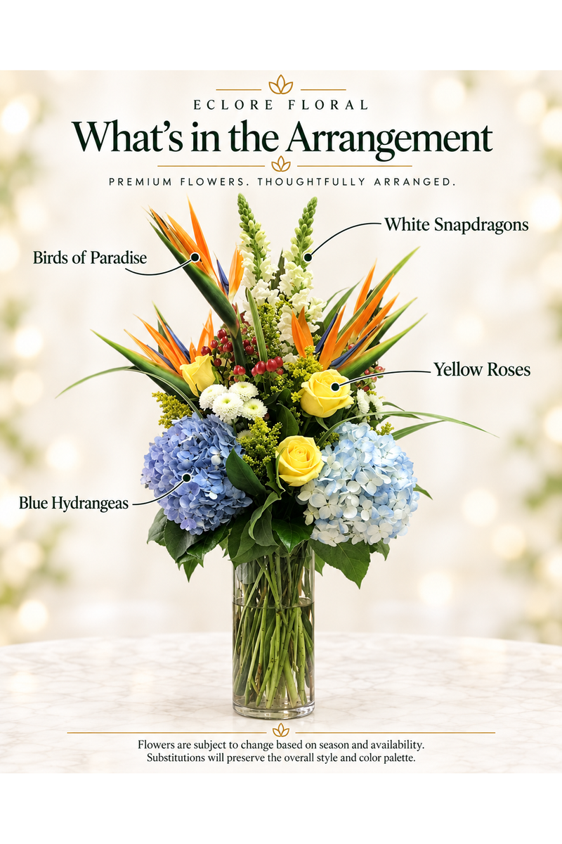 Eclore Floral flower guide for Orange Bird Luxury Flower Arrangement – Birds of Paradise, Hydrangeas & Roses. Flowers are subject to season and availability; substitutions preserve the overall style and color palette.