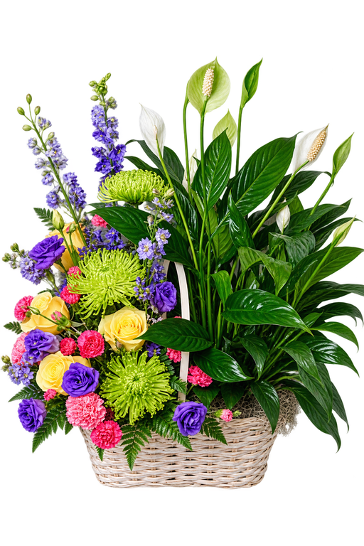 Peace lily sympathy basket with yellow roses, purple flowers, green chrysanthemums and pink carnations
