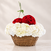 Cherry Love luxury red and white hydrangea basket - Standard size