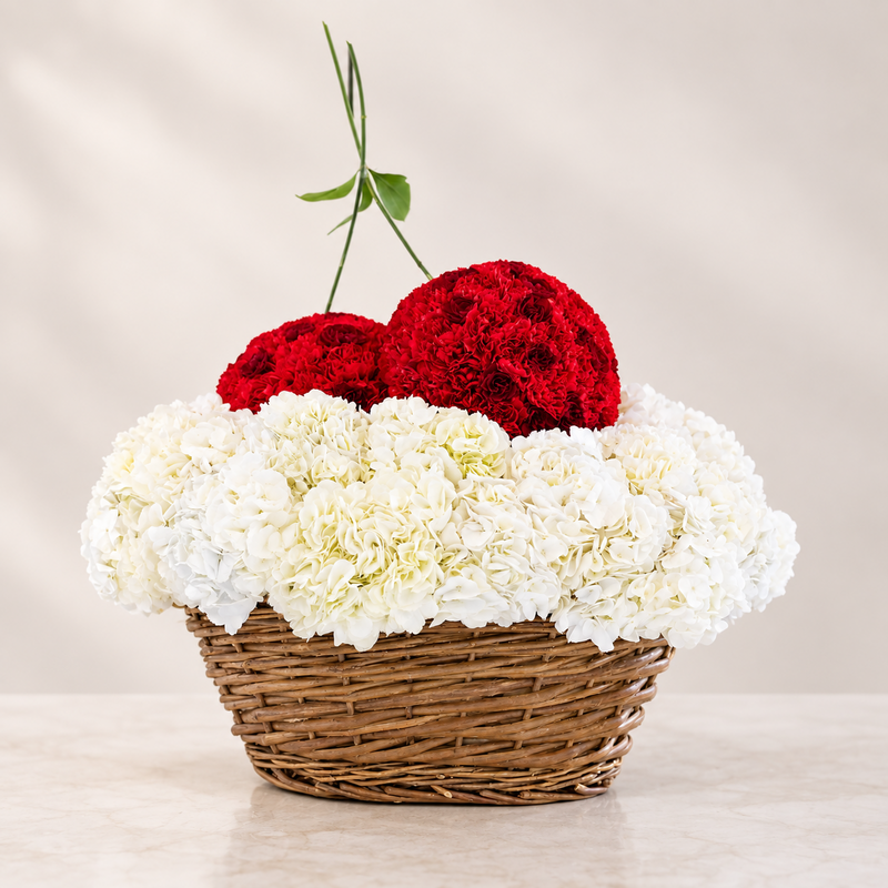 Cherry Love luxury red and white hydrangea basket - Standard size