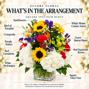 Square Spectrum Burst flower guide