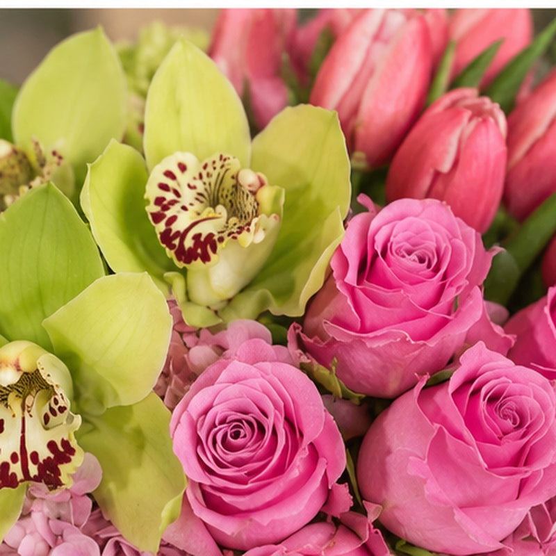 Close-up detail of pink roses, hydrangea, tulips and green orchids in the Strawberry Shortcake arrangement.