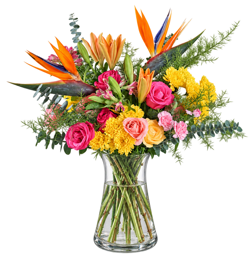 Tropical Radiance flower arrangement with Birds of Paradise, roses, lilies and yellow chrysanthemums in a clear glass vase