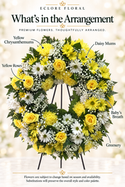 white and yellow — flower guide with seasonal availability information