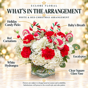 White & Red Christmas Floral Arrangement flower guide