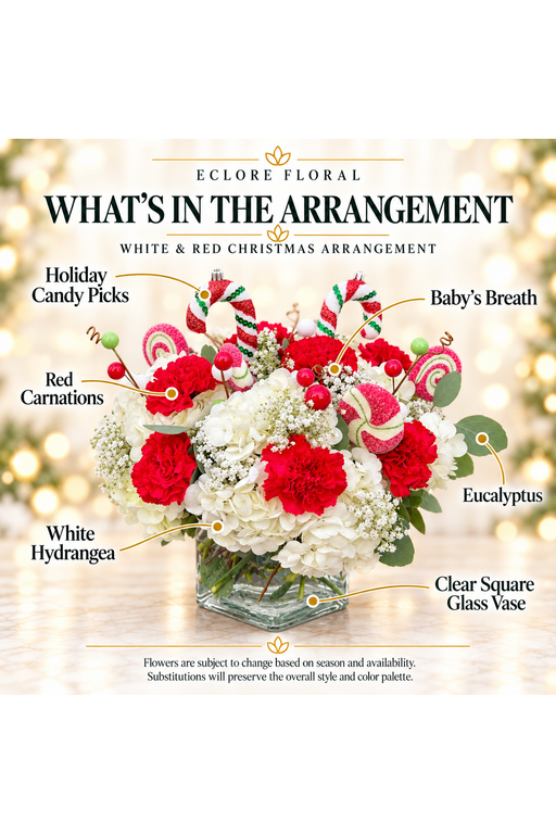 White & Red Christmas Floral Arrangement flower guide