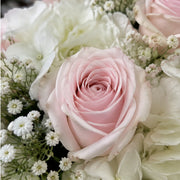 Close-up detail of a blush pink rose and white hydrangea in White Stripes.