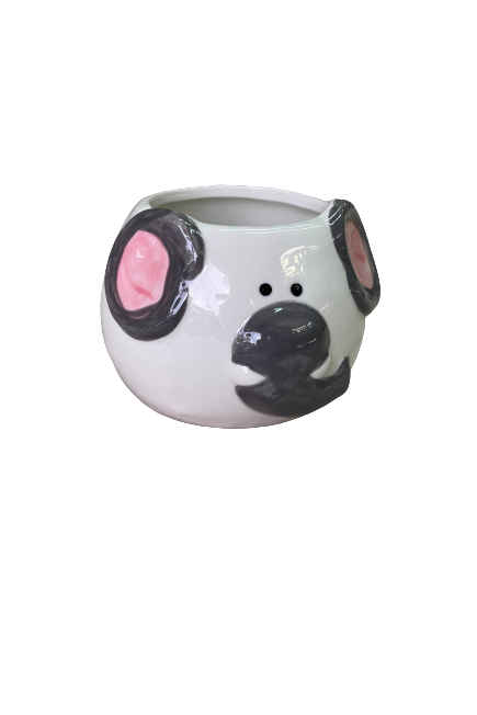 Elephant succulent Plant Pot