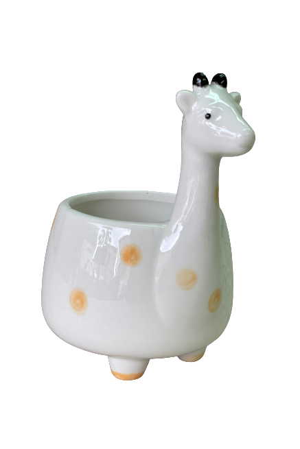 Giraffe Succulent Plant Pot