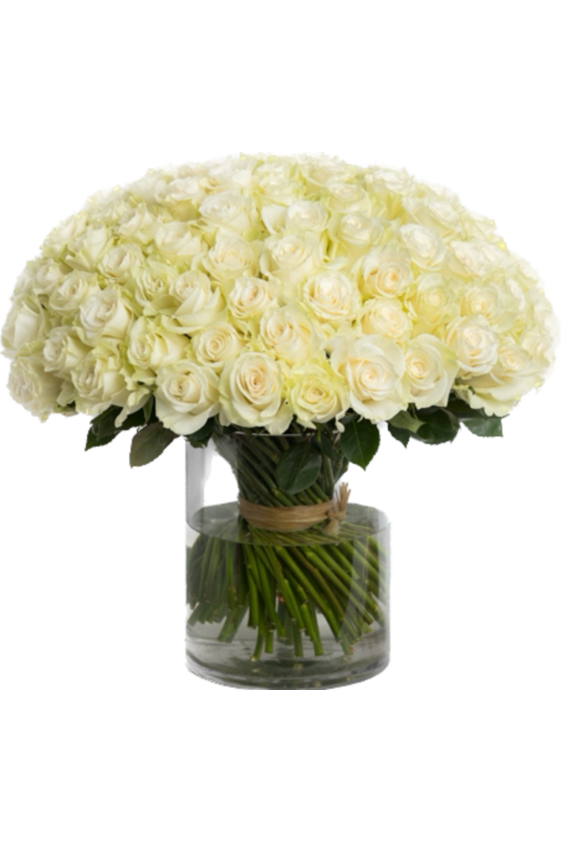 100 premium roses arranged in a glass vase by Eclore Floral in Hackensack NJ