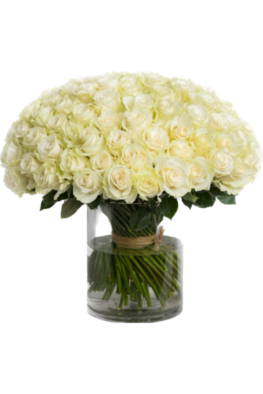 White Rose bouquet 100 roses 