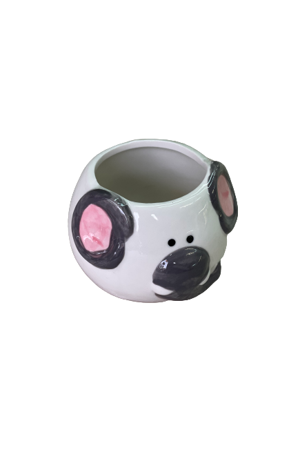 Elephant succulent Plant Pot