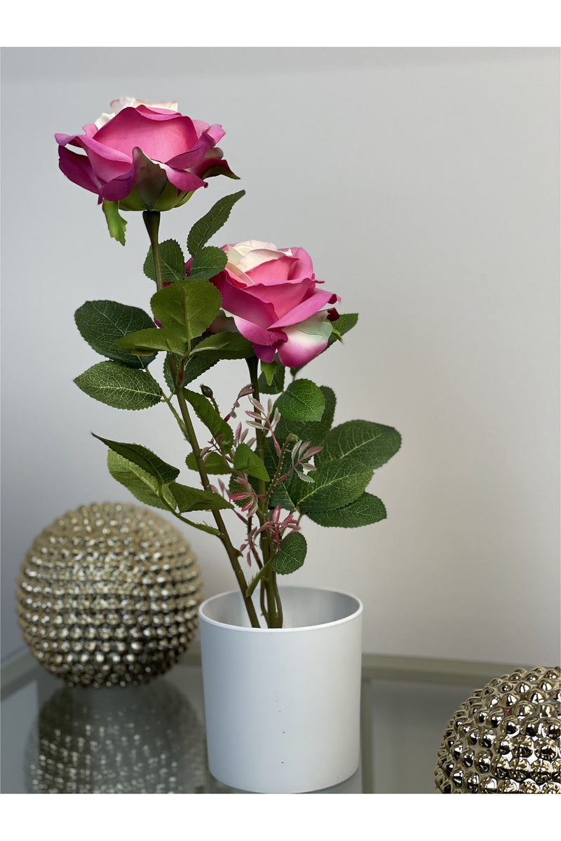 Double Silk Rose