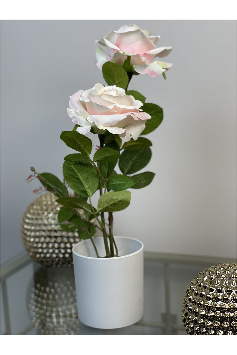 Double Silk Rose