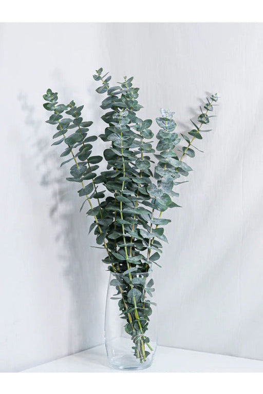 Eucalyptus floral Subscription