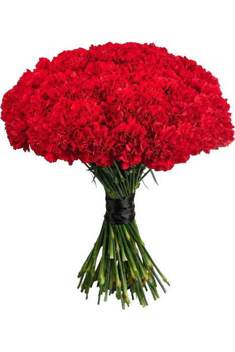 Red Bouquet arrangement Carnations ONLY
